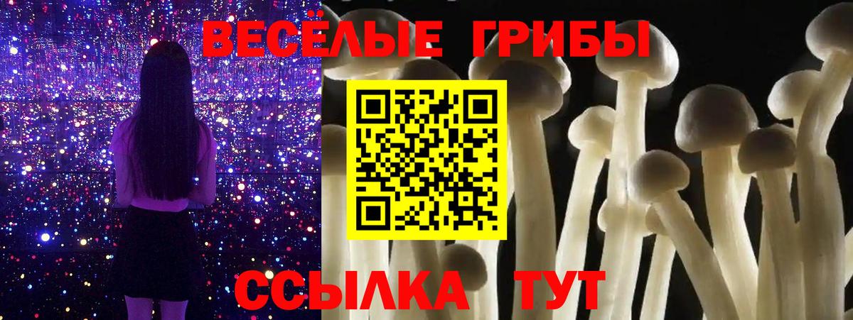Галлюциногенные грибы Psilocybe Советская Гавань