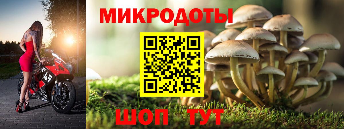 Советская Гавань  Галлюциногенные грибы Magic Shrooms  Вход с VPN 